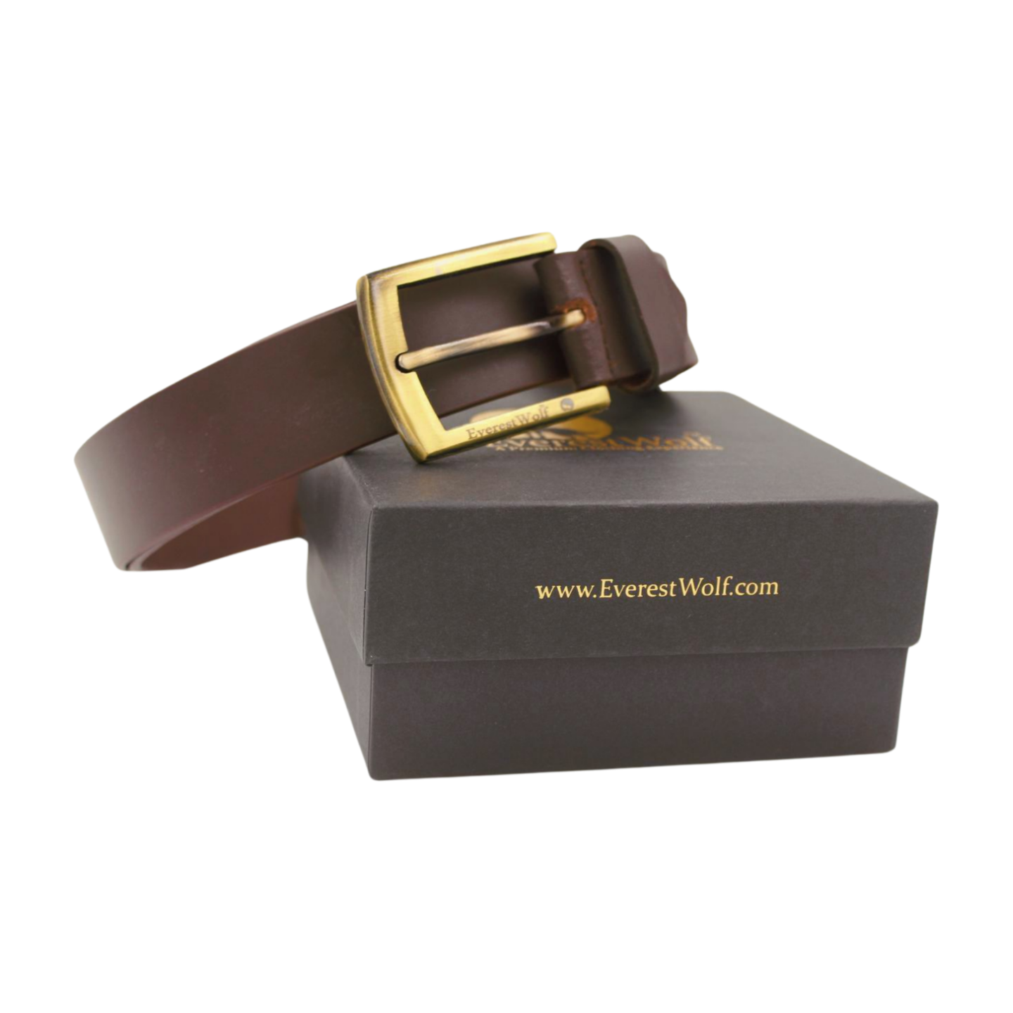 EverestWolf Paradigm Designer Brown Leather Belt with Golden Buckle